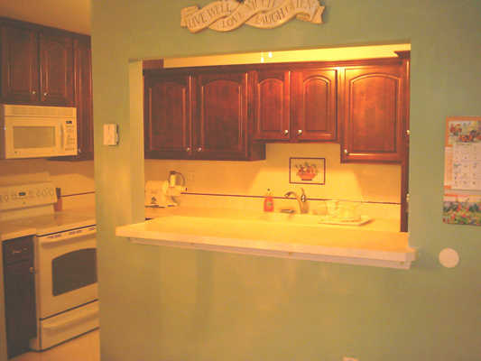 Condo Kitchen